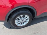 Used 2021 Ford Escape SE image 4