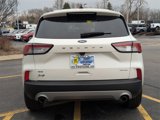 Used 2022 Ford Escape SE w/ Convenience Package image 4