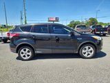 Used 2015 Ford Escape SE image 6
