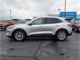 Used 2020 Ford Escape SE image 4