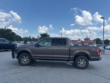 Used 2015 Ford F150 XLT w/ Equipment Group 302A Luxury image 2