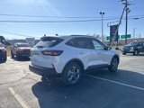 New 2025 Ford Escape ST-Line w/ Cold Weather Package image 5