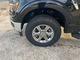 New 2024 Ford F150 XLT w/ Equipment Group 302A MID image 3