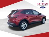 New 2025 Ford Escape Active w/ Tech Pack #1 image 4