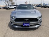 Certified 2022 Ford Mustang Premium image 2