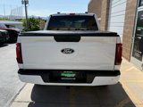 Used 2024 Ford F150 STX w/ STX Black Appearance Package image 4