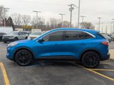 Used 2020 Ford Escape SE image 6