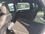 New 2025 Ford Escape ST-Line w/ Equipment Group 301A image 4