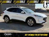 Used 2022 Ford Escape SEL image 1
