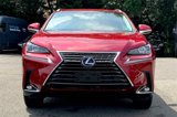 Used 2019 Lexus NX 300h AWD w/ Comfort Package image 2
