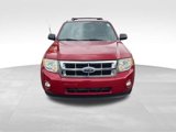 Used 2011 Ford Escape XLT w/ Cargo Pkg image 2