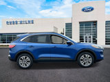 Used 2022 Ford Escape SEL image 2