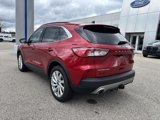 Used 2022 Ford Escape Titanium w/ Titanium Elite Package image 5