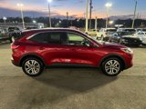 Used 2022 Ford Escape SEL image 6