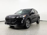 Used 2020 Ford Escape SEL image 3