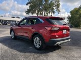 Used 2020 Ford Escape SE image 6