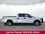 Used 2010 Ford F150 XLT image 3