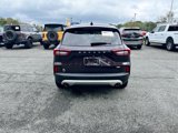 Certified 2023 Ford Escape SE w/ PHEV Premium Package image 5