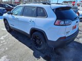 Used 2023 Jeep Cherokee Altitude Lux image 6