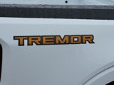 New 2025 Ford Maverick Tremor image 6