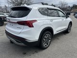 Used 2022 Hyundai Santa Fe SEL Convenience image 5
