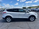 Used 2014 Ford Escape SE image 6