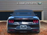 Used 2024 Ford Mustang GT Premium image 5