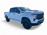 New 2025 Chevrolet Silverado 1500 Custom Trail Boss w/ Dark Appearance Package image 2