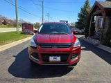 Used 2014 Ford Escape Titanium image 3