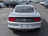 Used 2017 Ford Mustang Premium image 5