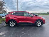 Used 2022 Ford Escape SE w/ Cold Weather Package image 2