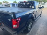 Used 2016 Ford F150 XLT w/ Equipment Group 302A Luxury image 3