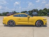 Used 2015 Ford Mustang Premium w/ 50 Years Appearance Package image 6