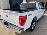 Used 2021 Ford F150 XLT w/ Equipment Group 302A High image 2