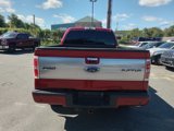 Used 2014 Ford F150 Platinum image 5