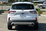 Used 2021 Ford Escape SE image 5