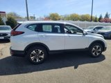 Used 2022 Honda CR-V Special Edition image 5