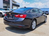 Used 2023 Chevrolet Malibu LT image 3
