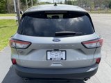 Used 2022 Ford Escape SE image 6