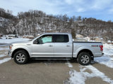 Used 2018 Ford F150 XLT w/ Equipment Group 302A Luxury image 2