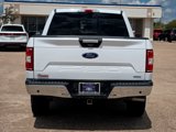 Used 2020 Ford F150 XLT w/ Equipment Group 302A Luxury image 5