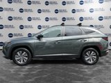 Used 2024 Hyundai Tucson Blue image 2
