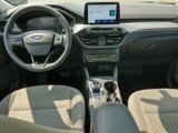 Used 2021 Ford Escape SE w/ Cold Weather Package image 5