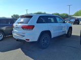 Used 2017 Jeep Grand Cherokee Trailhawk w/ Trailhawk Luxury Group image 3