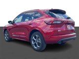 Used 2024 Ford Escape ST-Line image 4