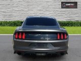 Used 2015 Ford Mustang Premium w/ Equipment Group 201A image 5