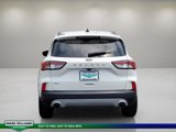 Certified 2021 Ford Escape SEL image 5