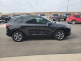 Used 2024 Ford Escape ST-Line image 6