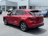 Used 2024 Ford Escape ST-Line w/ Tech Pack #1 image 4