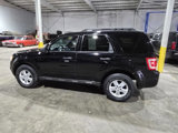 Used 2010 Ford Escape XLT image 6